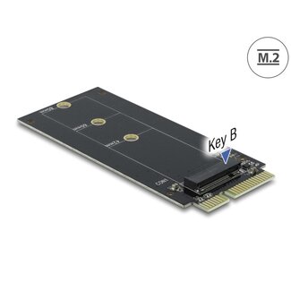 DeLOCK Delock SATA 22 pin male to M.2 Key B slot Adapter