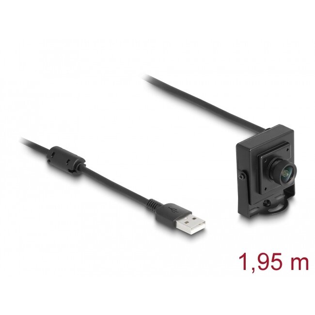 Delock USB 2.0 Camera 2.1 megapixel 100° fix focus