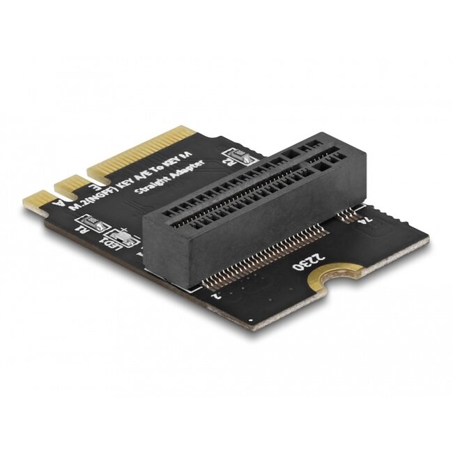 Delock Adapter M.2 key A+E male to key M slot angled with holder