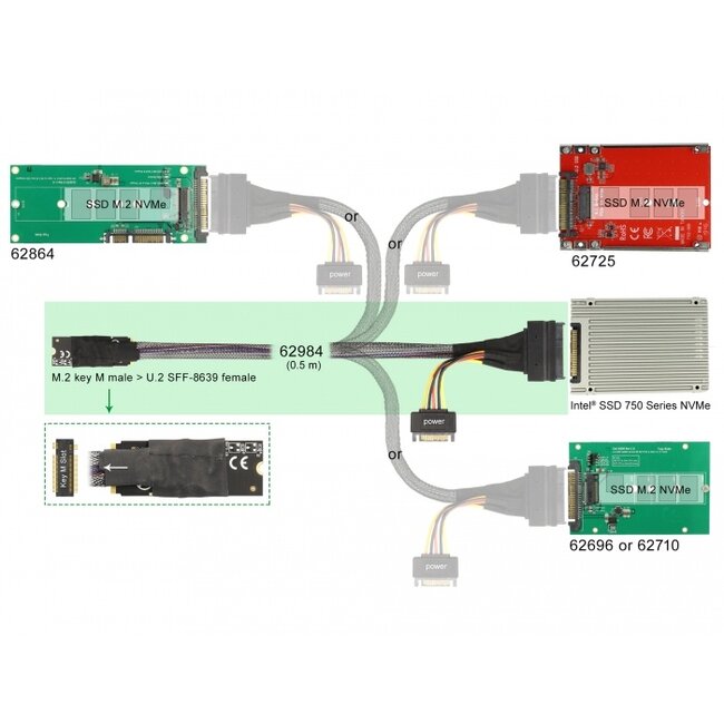 Delock M.2 Key M to U.2 SFF-8639 NVMe Adapter with 50 cm cable
