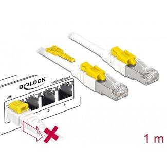 DeLOCK Delock Cable RJ45 Secure Cat.6A 1 m