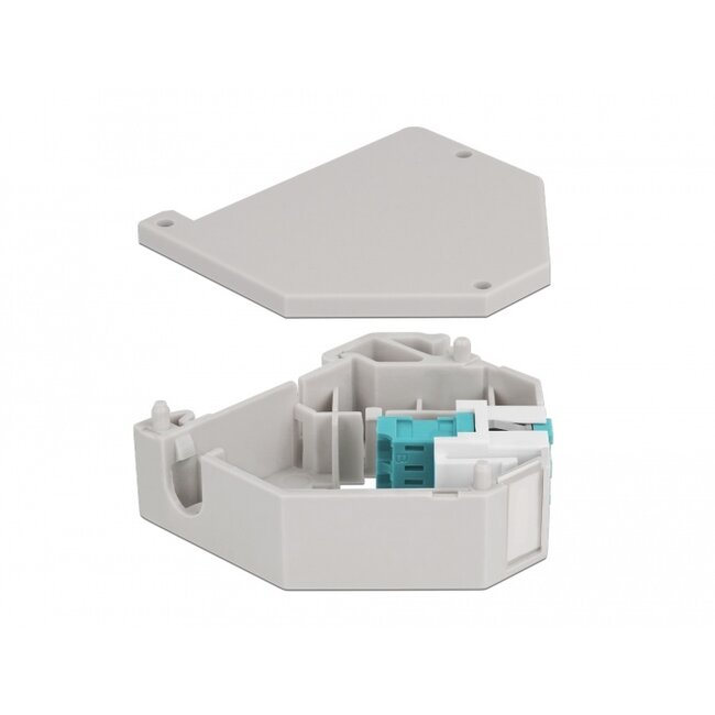 Delock DIN rail Adapter with Keystone LC Duplex female to LC Duplex female aqua