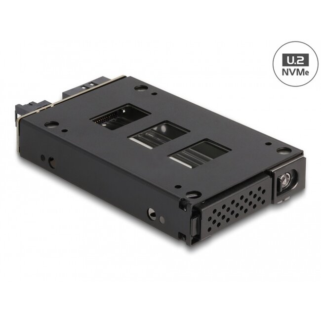 Delock Slim Bay Mobile Rack for 1 x 2.5″ U.2 NVMe SSD