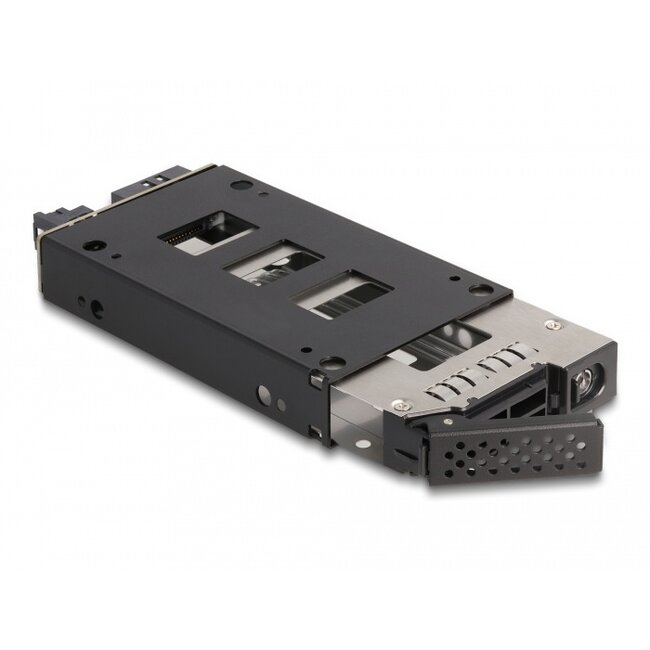 Delock Slim Bay Mobile Rack for 1 x 2.5″ U.2 NVMe SSD