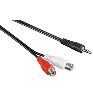 Transmedia 3,5mm Jack (m) - Tulp (v) stereo adapter kabel - 0,20 meter