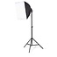 Lampenset voor Fotostudio | 70 W | 5500 K | 4000 lm | Werk hoogte: 60-180 cm | Inclusief lampen: 2 | Inclusief reistas | Zwart