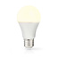 LED-Lamp E27 | A60 | 8.0 W | 806 lm | 2700 K | Warm Wit | Retrostijl | Frosted | 1 Stuks