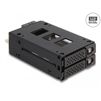DeLOCK Delock Slim Bay Mobile Rack for 2 x 2.5″ U.2 NVMe SSD