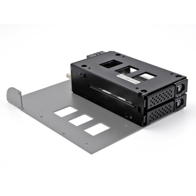 Delock Slim Bay Mobile Rack for 2 x 2.5″ U.2 NVMe SSD