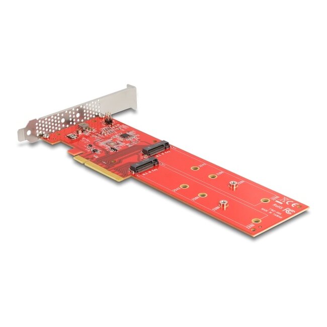 Delock PCI Express x8 Card to 2 x internal NVMe M.2 Key M 110 mm - Bifurcation - Low Profile Form Factor
