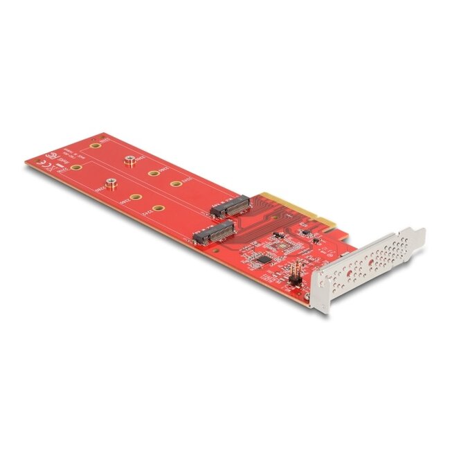 Delock PCI Express x8 Card to 2 x internal NVMe M.2 Key M 110 mm - Bifurcation - Low Profile Form Factor