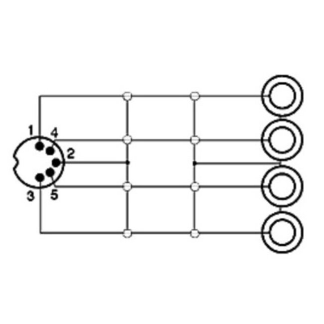 Sinox GO DIN 5-pins (m) - 2x Tulp stereo (v) adapter (recorder - versterker) | 0,20 meter