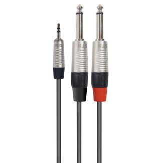 NJS NJS/Rean Professional 2x 6,35mm Jack - 3,5mm Jack stereo kabel | 5 meter
