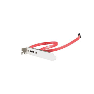 S-Impuls S-ATA zu e-SATA Slotblech 1-PORT incl Kabel