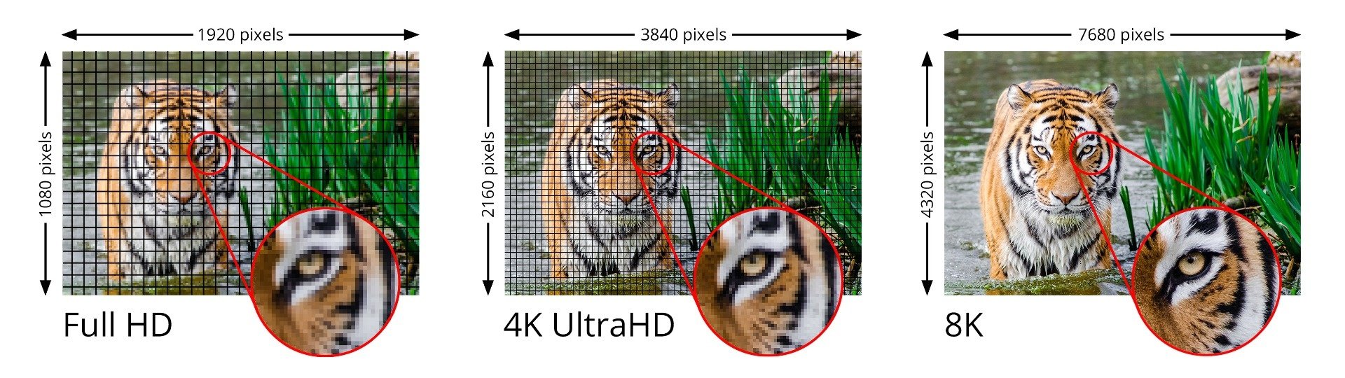 1080P 4K 8K comparison
