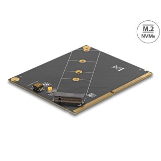 DeLOCK Delock Converter MXM to M.2 NVMe Key M slot