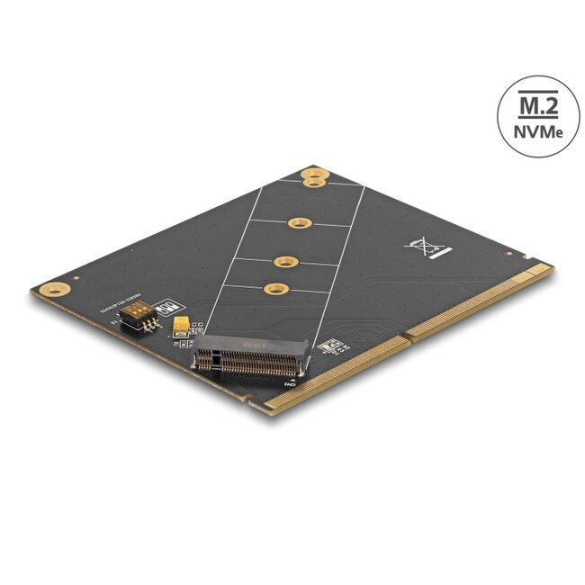 Delock Converter MXM to M.2 NVMe Key M slot