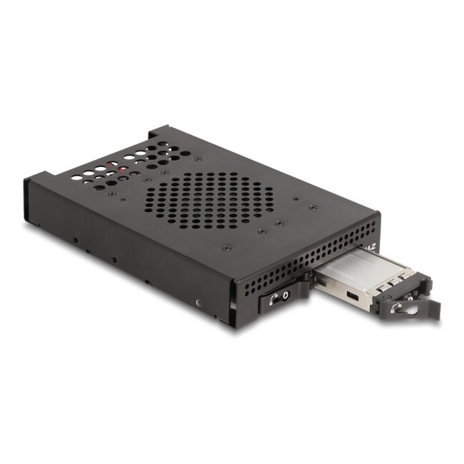 Delock 3.5″ Mobile Rack for 2 x M.2 NVMe SSD with OcuLink SFF-8612 connector