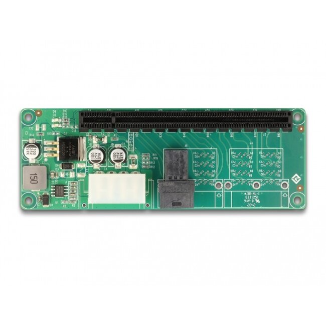 Delock Converter 1 x SFF-8643 to PCIe x16