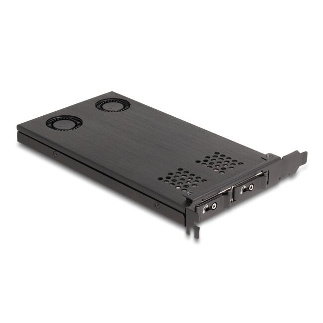 Delock PCI Express x16 Card Mobile Rack for 2 x M.2 NVMe SSD - Bifurcation