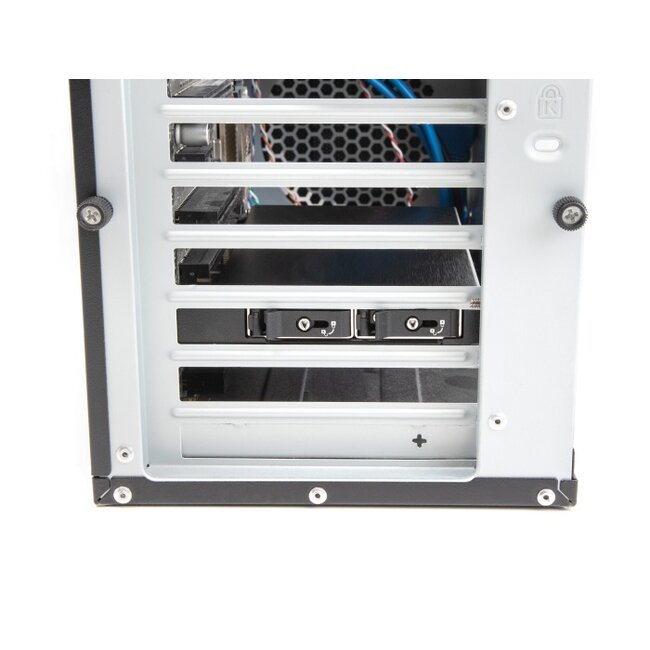 Delock PCI Express x16 Card Mobile Rack for 2 x M.2 NVMe SSD - Bifurcation