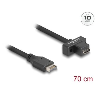 DeLOCK USB 10 Gbps cable Type-E Key A 20 pin male to USB Type-C™ female panel-mount 70 cm