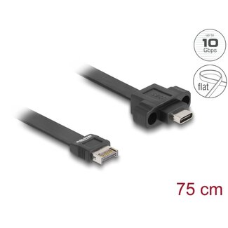 DeLOCK USB 10 Gbps Flat Cable Type-E Key A 20 pin male to USB Type-C™ female panel-mount 75 cm