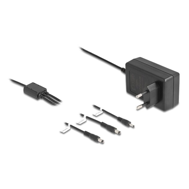 Delock External Power Supply DC 3.5 x 1.35 mm, DC 5.5 x 2.1 mm, DC 5.5 x 2.5 mm 12.0 V / 3.0 A / 36.0 W