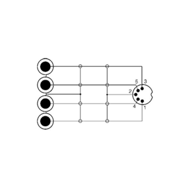 Sinox GO DIN 5-pins - 2x Tulp stereo kabel (recorder - versterker) | 1 meter