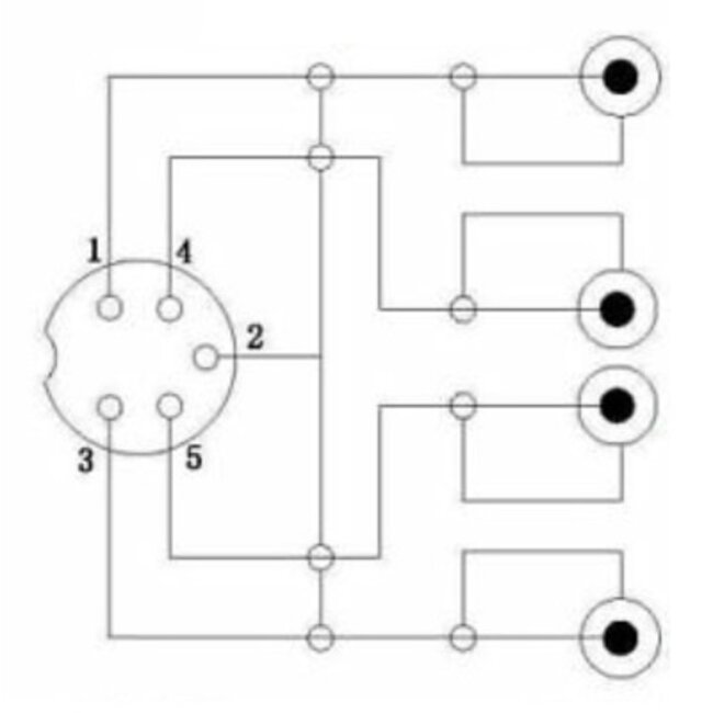 Sinox GO DIN 5-pins (v) - 2x Tulp stereo (m) adapter (recorder - versterker) | 0,20 meter