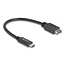 Delock USB 10 Gbps Cable USB Type-E Key A 20 pin male to USB Type-C™ male 25 cm