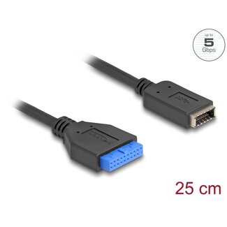 DeLOCK Delock USB 5 Gbps Cable Pin Header female to internal USB Type-E Key A female 25 cm