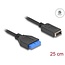 Delock USB 5 Gbps Cable Pin Header female to internal USB Type-E Key A female 25 cm