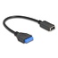 Delock USB 5 Gbps Cable Pin Header female to internal USB Type-E Key A female 25 cm
