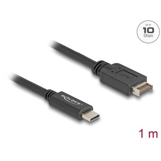 DeLOCK Delock USB 10 Gbps Cable USB Type-E Key A 20 pin male to USB Type-C™ male 1 m