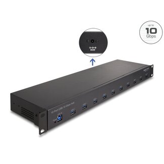 DeLOCK Delock 19″ Industry Hub 10 x USB 10 Gbps Type-A