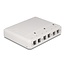 Delock Keystone Surface Mounted Box 6 Port for fiber optic and network white