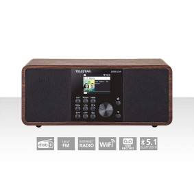 Telestar Netwerk audiospeler DIRA s 24i -