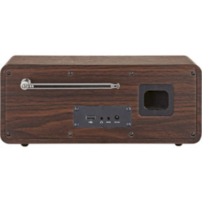TELESTAR DIRA S 24i Hout DAB+ / FM / INTERNET / BLUETOOTH