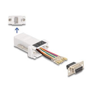 DeLOCK Delock D-Sub 9 pin female to RJ45 female Assembly Kit white