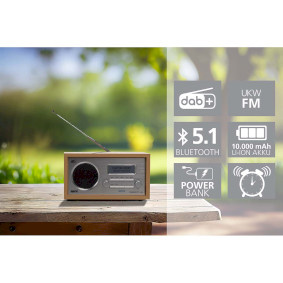 Imperial Dabman 30 Mobile Dab-radio Bruin