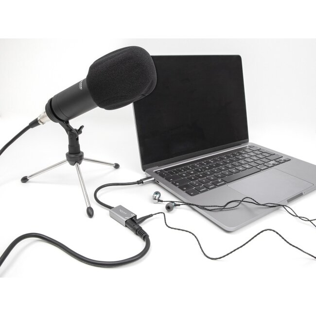 Delock External USB Sound Card with Type-C™ male to 2 x 3.5 mm Stereo jack Plug & Play Audio Adapter