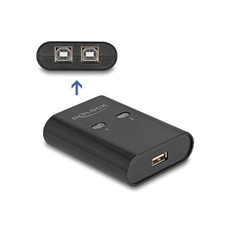 DeLOCK Delock USB 2.0 Switch 2 PC to 1 device