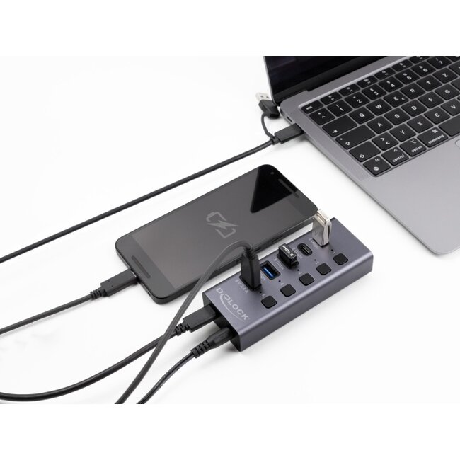 Delock USB 5 Gbps Hub with 2 x USB Type-A and 2 x USB Type-C™ female and 1 x Fast Charging Port + Switch