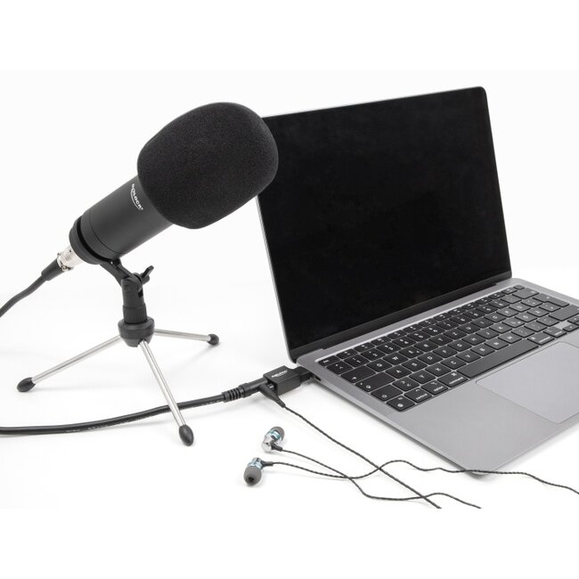 Delock External USB Sound Card with Type-C™ male to 2 x 3.5 mm Stereo jack Plug & Play Audio Adapter black