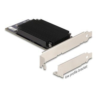 DeLOCK Delock PCI Express x8 Hailo-8™ AI Processor x2 AI-Accelerator