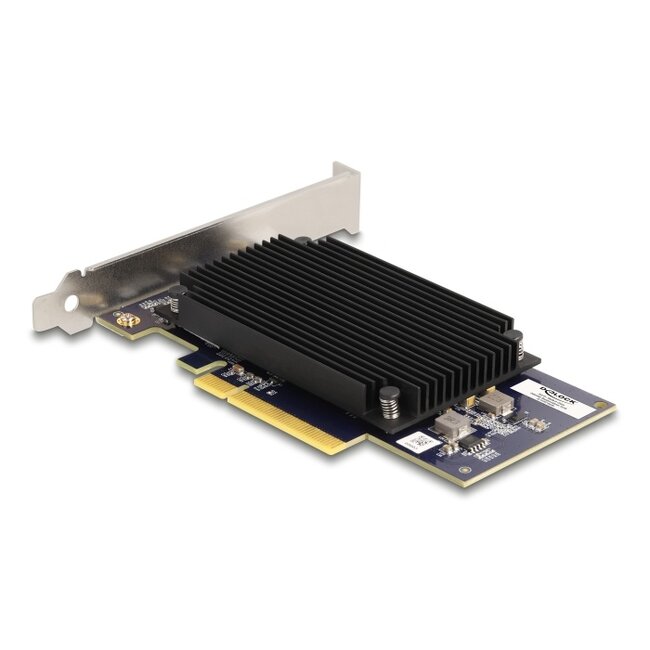 Delock PCI Express x8 Hailo-8™ AI Processor x2 AI-Accelerator