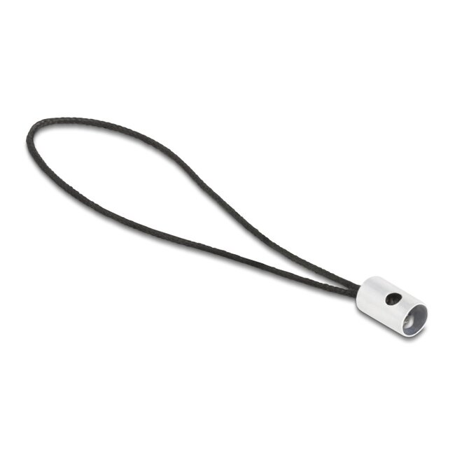 Delock Adapter USB 2.0 Type-C™ male zu Lightning™ female PD 3.0