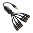 3,5mm Jack naar 6x 3,5mm Jack splitter | 4-polig | verguld | 0,30 meter