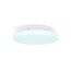 SmartLife Plafondlamp | Wi-Fi | RGB / Warm tot Koel Wit | Rond | Diameter: 260 mm | 1820 lm | 2700 - 6500 K | IP44 | Energieklasse: F | Android™ / IOS